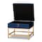 Baxton Studio Aliana Glam and Luxe Navy Blue Velvet Fabric and Gold Finished Metal Small Storage Ottoman 182-11565-Zoro - alternate 4